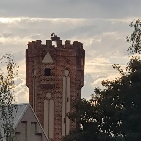 An Der Salzkirche Dom wakacyjny Tangermünde