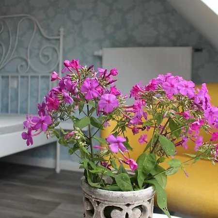 Holiday home An Der Salzkirche *