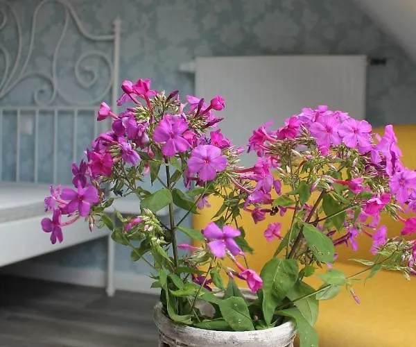 Semesterbostad An Der Salzkirche *