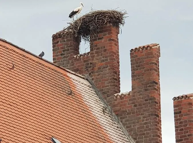 Dom wakacyjny An Der Salzkirche
